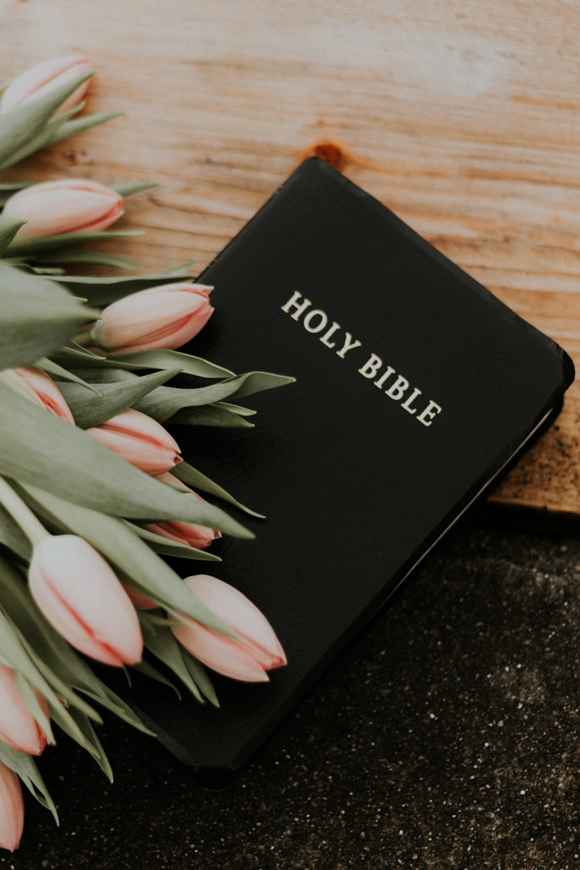 Want to know Christ?
